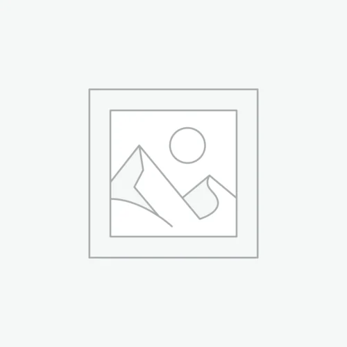 cheap ferrets for sale